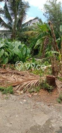 Kavling Tanah Dijual di Cakung Jakarta Timur Spesifikasi 360m2 Kavling Tanah Dijual di Cakung Jakarta Timur Spesifikasi 360m2