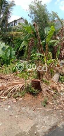 Kavling Tanah Dijual di Cakung Jakarta Timur Spesifikasi 360m2 Kavling Tanah Dijual di Cakung Jakarta Timur Spesifikasi 360m2