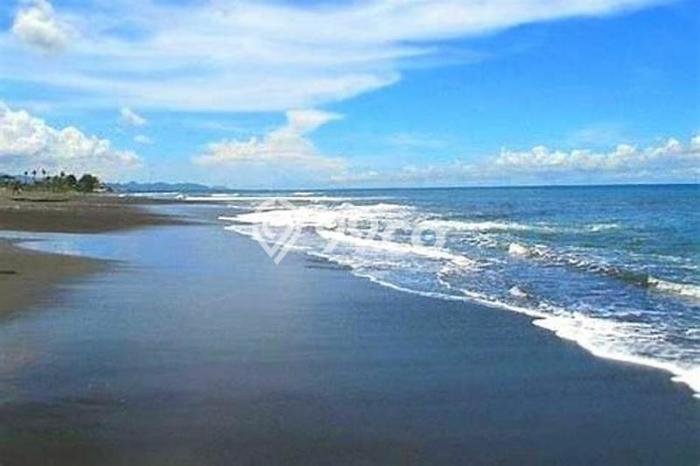 Tanah untuk Dijual Lokasi Gianyar, Gianyar Luas 3400m2 SHM Tanah untuk Dijual Lokasi Gianyar, Gianyar Luas 3400m2 SHM