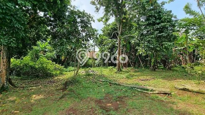 Tanah Strategis Dijual di Kalijati Subang 3500m2 Tanah Strategis Dijual di Kalijati Subang 3500m2