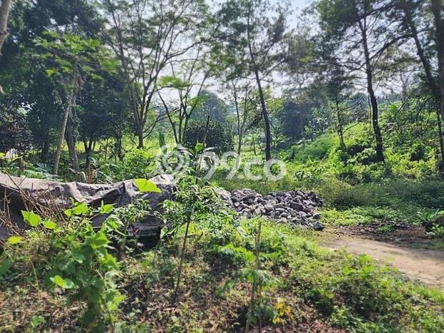 Tanah Kavling untuk Dijual di Coblong Bandung 3582m2 Tanah Kavling untuk Dijual di Coblong Bandung 3582m2
