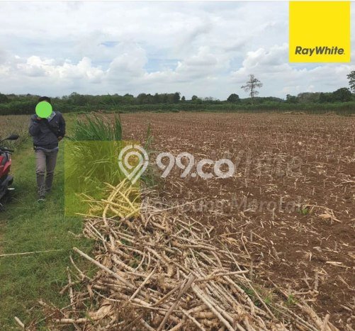 Tanah Area Prospektif di Kalianda, Luas 16490m2m², Dekat ke Fasilitas Umum, Akses Kalianda, Lampung Selatan, Lampung Selatan Tanah Area Prospektif di Kalianda, Luas 16490m2m², Dekat ke Fasilitas Umum, Akses Kalianda, Lampung Selatan, Lampung Selatan
