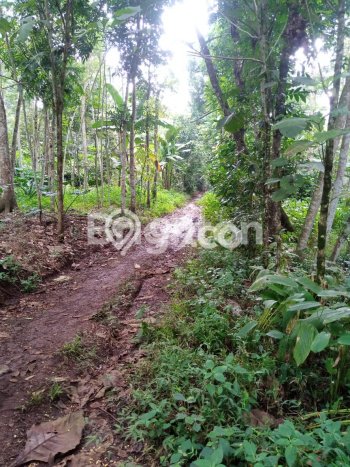 Lahan untuk Dijual Lokasi Mijen, Semarang Luas 1870m2 SHM Lahan untuk Dijual Lokasi Mijen, Semarang Luas 1870m2 SHM