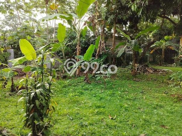 Tanah Kavling untuk Dijual di Pagedangan Tangerang 3200m2 Tanah Kavling untuk Dijual di Pagedangan Tangerang 3200m2