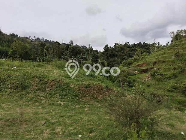 Kavling Tanah untuk Dijual di ciumbuleuit, Bandung, Luas 90000m2 Kavling Tanah untuk Dijual di ciumbuleuit, Bandung, Luas 90000m2