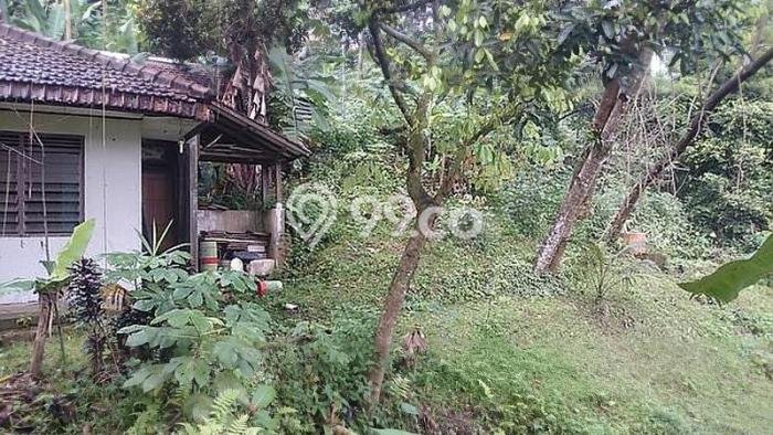 Tanah di , Luas 3800m2m², Area Berkembang Tanah di , Luas 3800m2m², Area Berkembang