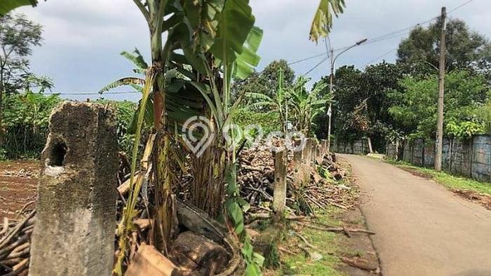 Kavling Tanah Dijual di Bogor Selatan Bogor Spesifikasi 4367m2 Kavling Tanah Dijual di Bogor Selatan Bogor Spesifikasi 4367m2