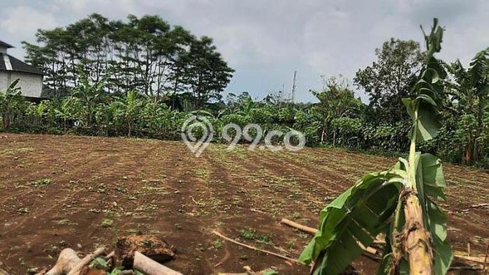 Kavling Tanah Dijual di Bogor Selatan Bogor Spesifikasi 4367m2 Kavling Tanah Dijual di Bogor Selatan Bogor Spesifikasi 4367m2