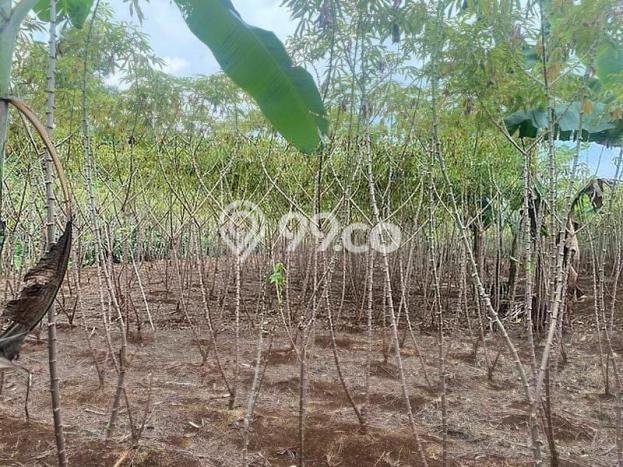 Kavling Tanah Dijual di Bogor Selatan Bogor Spesifikasi 4367m2 Kavling Tanah Dijual di Bogor Selatan Bogor Spesifikasi 4367m2