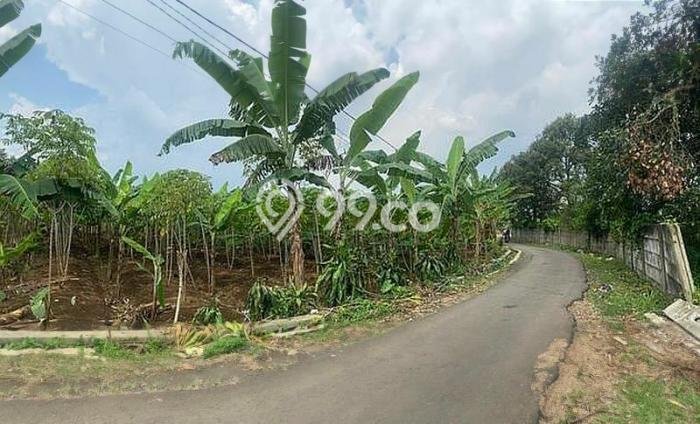 Kavling Tanah Dijual di Bogor Selatan Bogor Spesifikasi 4367m2 Kavling Tanah Dijual di Bogor Selatan Bogor Spesifikasi 4367m2