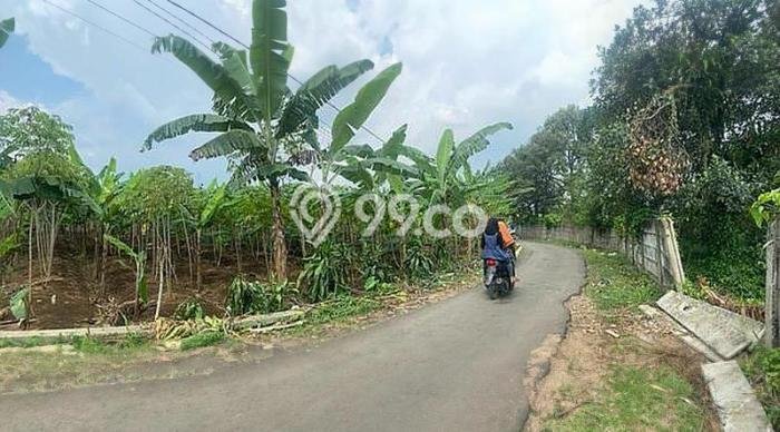 Kavling Tanah Dijual di Bogor Selatan Bogor Spesifikasi 4367m2 Kavling Tanah Dijual di Bogor Selatan Bogor Spesifikasi 4367m2