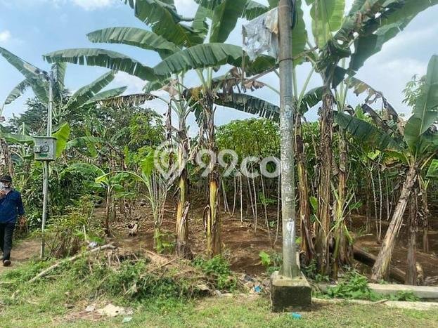 Kavling Tanah Dijual di Bogor Selatan Bogor Spesifikasi 4367m2 Kavling Tanah Dijual di Bogor Selatan Bogor Spesifikasi 4367m2