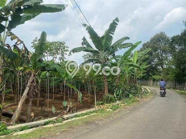 Kavling Tanah Dijual di Bogor Selatan Bogor Spesifikasi 4367m2 Kavling Tanah Dijual di Bogor Selatan Bogor Spesifikasi 4367m2