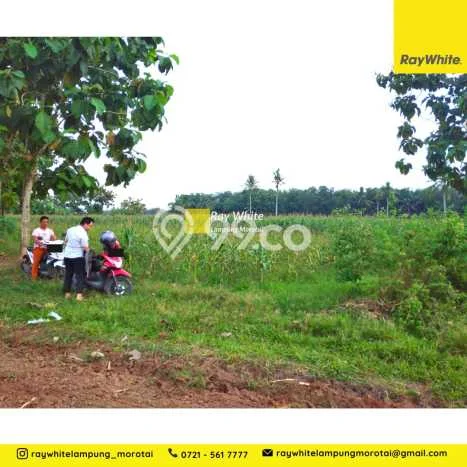 Lahan Kosong Dijual di Jati Agung, Lampung Selatan, Luas 6861m2 Area Strategis Lahan Kosong Dijual di Jati Agung, Lampung Selatan, Luas 6861m2 Area Strategis