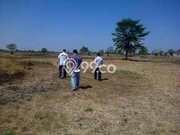 Tanah Lokasi Potensial di Cerme, Luas 50000m2m², Dekat ke Pusat Kota, Dekat Cerme, Gresik, Gresik Tanah Lokasi Potensial di Cerme, Luas 50000m2m², Dekat ke Pusat Kota, Dekat Cerme, Gresik, Gresik