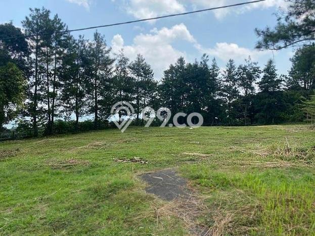 Dijual Tanah di Bogor, Luas 1553m2 SHM Dijual Tanah di Bogor, Luas 1553m2 SHM