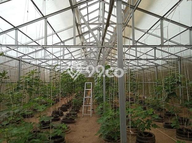 Lahan Investasi Lokasi Cibeber Cilegon SHM Lahan Investasi Lokasi Cibeber Cilegon SHM