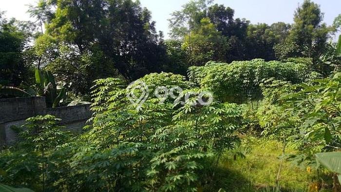 Lahan Dijual Lokasi Bogor Timur, Bogor dengan Luas Tanah 1800m2 dan Status SHM Lahan Dijual Lokasi Bogor Timur, Bogor dengan Luas Tanah 1800m2 dan Status SHM
