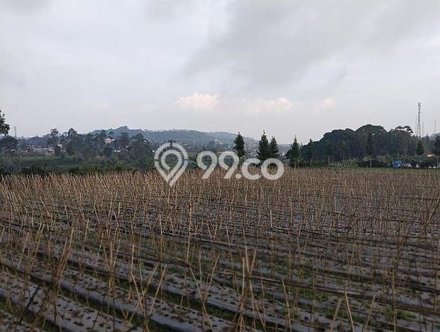 Kavling Tanah Dijual di Lembang Bandung Barat Spesifikasi 14000m2 Kavling Tanah Dijual di Lembang Bandung Barat Spesifikasi 14000m2