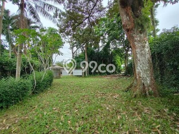 Kavling Tanah untuk Dijual di Tajur, Bogor, Luas 2963m2 Kavling Tanah untuk Dijual di Tajur, Bogor, Luas 2963m2