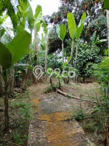 Lahan Dijual Lokasi Strategis di Jakarta Selatan dengan Luas 1628m2 Lahan Dijual Lokasi Strategis di Jakarta Selatan dengan Luas 1628m2