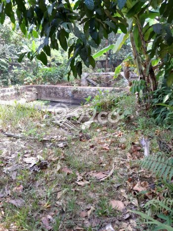 Tanah Dijual Lokasi Pancoran Mas Depok SHM Tanah Dijual Lokasi Pancoran Mas Depok SHM