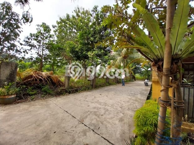 Tanah Dijual di Bogor Seluas 419m2 Strategis Tanah Dijual di Bogor Seluas 419m2 Strategis