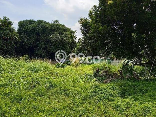 Kavling Tanah di Limo Dijual Luas 1500m2 Legalitas SHM Kavling Tanah di Limo Dijual Luas 1500m2 Legalitas SHM