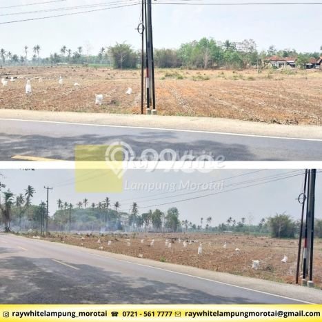 HARGA TERBAIK! Tanah di Tegineneng, Luas 42000m2m², Jalur Mudah, Area Berkembang HARGA TERBAIK! Tanah di Tegineneng, Luas 42000m2m², Jalur Mudah, Area Berkembang