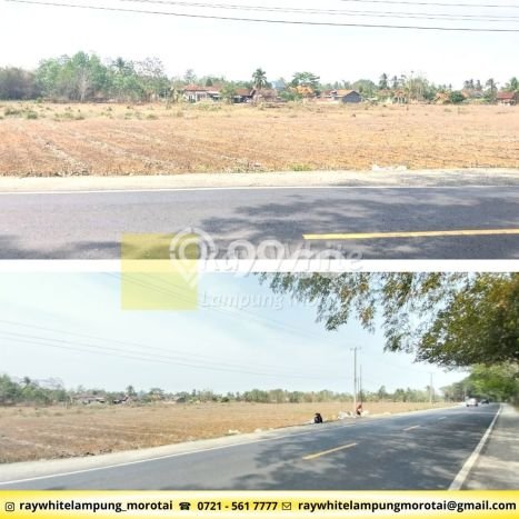 HARGA TERBAIK! Tanah di Tegineneng, Luas 42000m2m², Jalur Mudah, Area Berkembang HARGA TERBAIK! Tanah di Tegineneng, Luas 42000m2m², Jalur Mudah, Area Berkembang