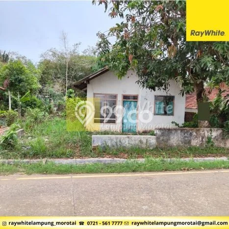 For Sale Tanah Kawasan Labuhan Ratu, Luas 256m2m², Akses Labuhan Ratu, Lampung Timur, Lampung Timur For Sale Tanah Kawasan Labuhan Ratu, Luas 256m2m², Akses Labuhan Ratu, Lampung Timur, Lampung Timur