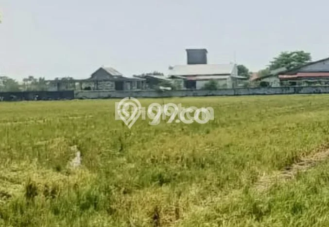 Kavling Tanah Dijual di Brangsong Kendal Spesifikasi 5821m2 Kavling Tanah Dijual di Brangsong Kendal Spesifikasi 5821m2