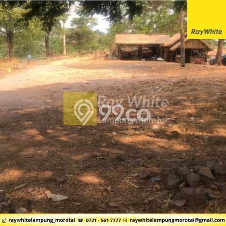 Kavling Tanah Dijual di Teluk Betung Selatan, Bandar Lampung, Luas 23000m2 Area Strategis Kavling Tanah Dijual di Teluk Betung Selatan, Bandar Lampung, Luas 23000m2 Area Strategis