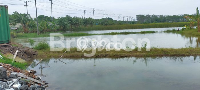 Dijual Tanah di Sayung Demak Luas 20000m2 SHM Dijual Tanah di Sayung Demak Luas 20000m2 SHM