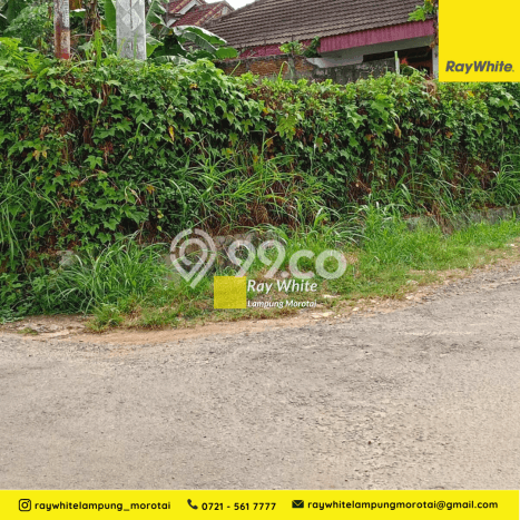 Jarang Ada! Tanah di Tanjung Karang Barat Punya Luas 297m2 SHM Jarang Ada! Tanah di Tanjung Karang Barat Punya Luas 297m2 SHM