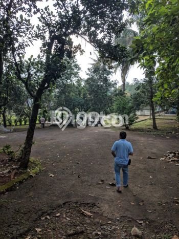 PRIME LOCATION! Tanah di Ciseeng, Luas 7000m2m², Ideal untuk Investasi PRIME LOCATION! Tanah di Ciseeng, Luas 7000m2m², Ideal untuk Investasi