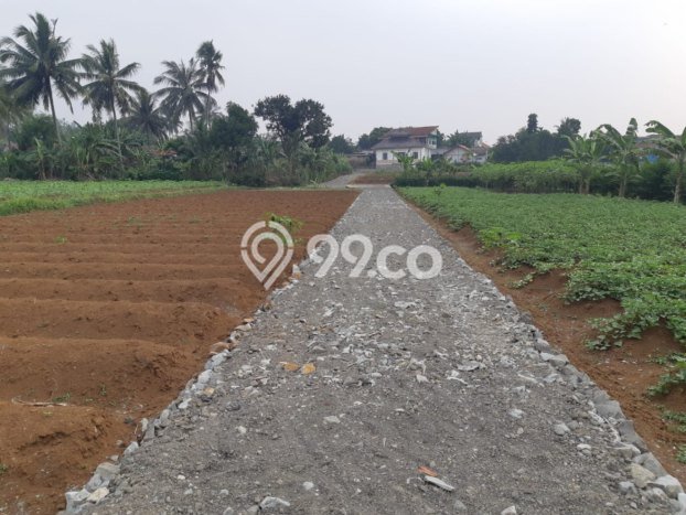 Tanah Premium Kawasan Ciampea, Luas 2076m², Akses Ciampea, Bogor, Bogor Tanah Premium Kawasan Ciampea, Luas 2076m², Akses Ciampea, Bogor, Bogor