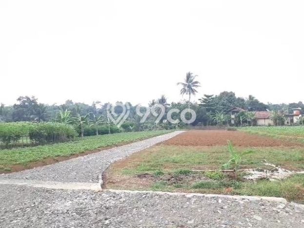 Tanah Premium Kawasan Ciampea, Luas 2076m², Akses Ciampea, Bogor, Bogor Tanah Premium Kawasan Ciampea, Luas 2076m², Akses Ciampea, Bogor, Bogor