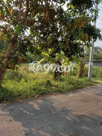 Kavling Tanah Dijual di Kalasan Sleman Spesifikasi 554m2 Kavling Tanah Dijual di Kalasan Sleman Spesifikasi 554m2