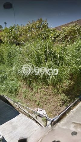 Tanah Dijual Lokasi Getasan, Semarang Luas 980m2 Legalitas Aman Tanah Dijual Lokasi Getasan, Semarang Luas 980m2 Legalitas Aman