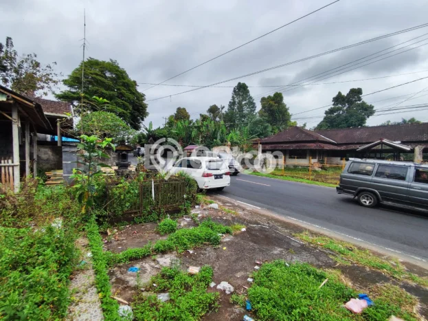 Jual Tanah di Baturiti, Luas 300m², Lingkungan Asri, Kontur Rata Jual Tanah di Baturiti, Luas 300m², Lingkungan Asri, Kontur Rata