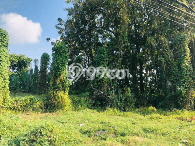 Tanah Kawasan Kediri, Luas 500m², Status SHM, Dekat Kediri, Tabanan, Tabanan Tanah Kawasan Kediri, Luas 500m², Status SHM, Dekat Kediri, Tabanan, Tabanan