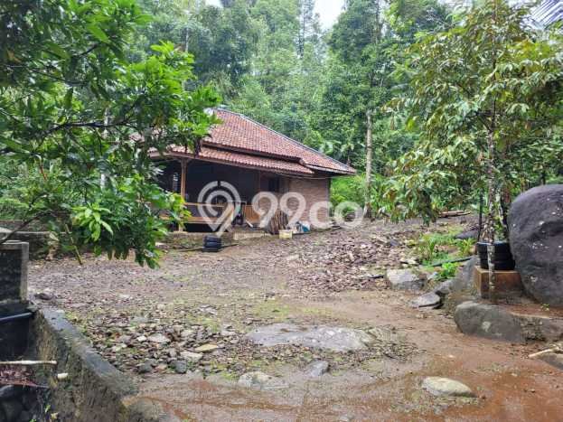 Kavling Tanah di Pandeglang Dijual Luas 2549m2 Legalitas SHM Kavling Tanah di Pandeglang Dijual Luas 2549m2 Legalitas SHM
