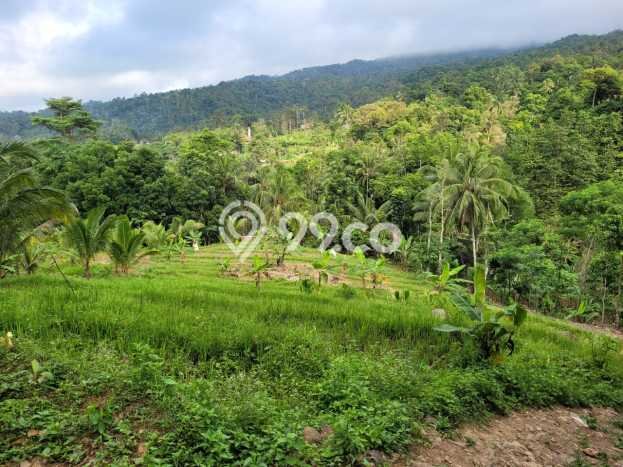 Kavling Tanah di Pandeglang Dijual Luas 2549m2 Legalitas SHM Kavling Tanah di Pandeglang Dijual Luas 2549m2 Legalitas SHM