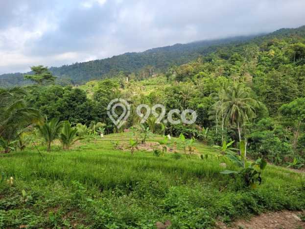 Kavling Tanah di Pandeglang Dijual Luas 2549m2 Legalitas SHM Kavling Tanah di Pandeglang Dijual Luas 2549m2 Legalitas SHM