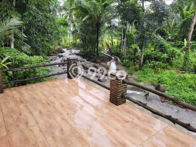 Kavling Tanah di Pandeglang Dijual Luas 2549m2 Legalitas SHM Kavling Tanah di Pandeglang Dijual Luas 2549m2 Legalitas SHM