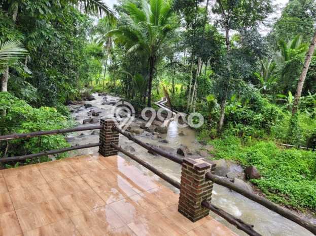 Kavling Tanah di Pandeglang Dijual Luas 2549m2 Legalitas SHM Kavling Tanah di Pandeglang Dijual Luas 2549m2 Legalitas SHM