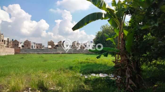 Tanah Kavling untuk Dijual di Banguntapan Bantul 4399m2 Tanah Kavling untuk Dijual di Banguntapan Bantul 4399m2