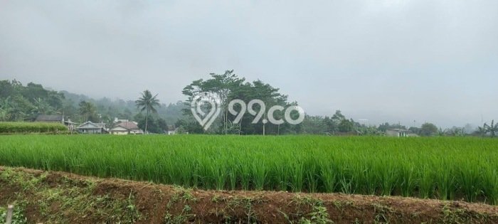 Tanah Dijual Lokasi Bogor Barat, Bogor dengan Luas Tanah 735m2 dan Status SHM Tanah Dijual Lokasi Bogor Barat, Bogor dengan Luas Tanah 735m2 dan Status SHM