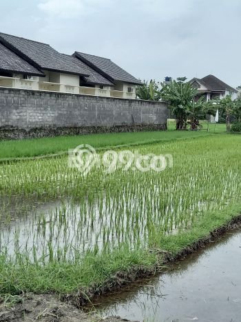 HARGA TERBAIK! Tanah Kawasan Depok, Luas 529m2m², Jalur Strategis, Area Berkembang HARGA TERBAIK! Tanah Kawasan Depok, Luas 529m2m², Jalur Strategis, Area Berkembang